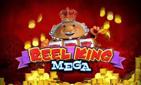 Mega Reels Jackpot Winner